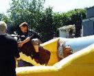 Ride em cowboy, on the rodeo bull